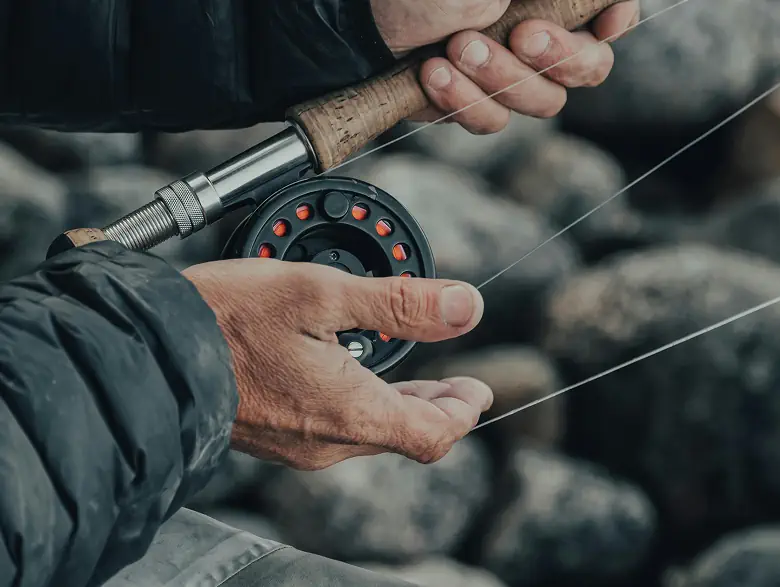 Porta habitasse arcu mi pretium